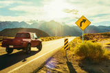 Why Hunters Prefer Lifted Trucks Over Stock Trucks